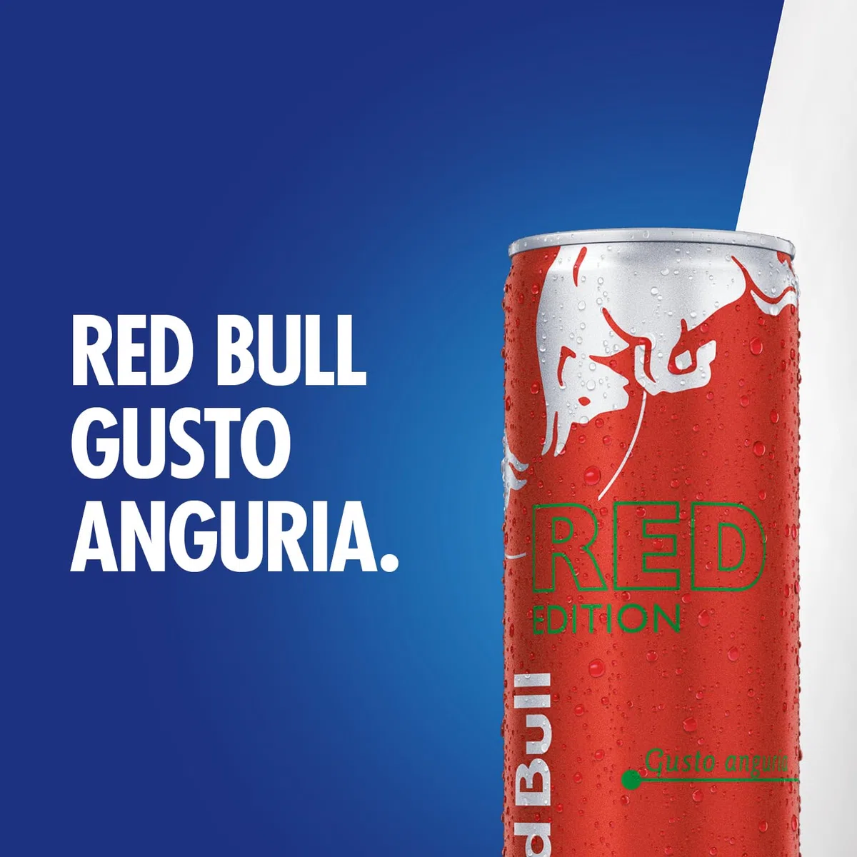 Red Bull Energy Drink, Bandiera Italiana, 250 ml (24 Lattine)