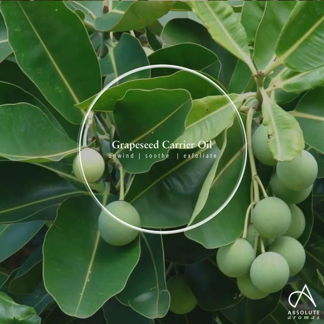 Absolute Aromas Olio di Semi d'Uva 500ml - Puro, Naturale, Spremuto a freddo, Cruelty Free, Vegano, Senza OGM - Olio base per Massaggi e Idratante Naturale per Pelle, Capelli e Unghie