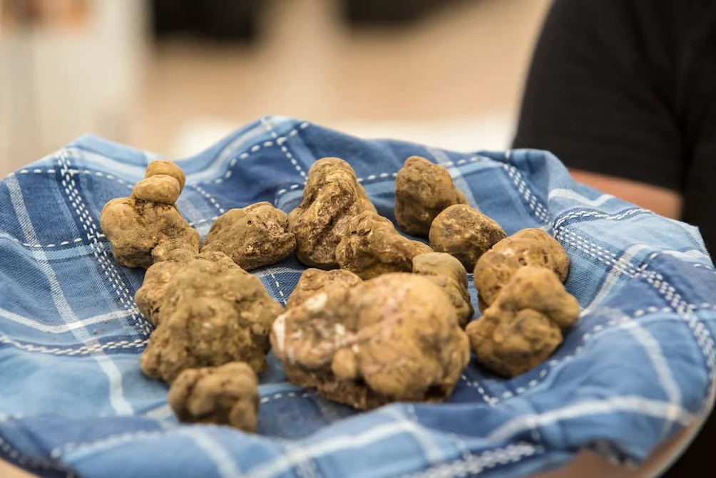 Olio al tartufo con vero tartufo 250 ml. Realizzato in olio extravergine di oliva, per salse e per affinare i piatti. Adatto per una dieta vegana e senza glutine (tartufo bianco, 250 ml)