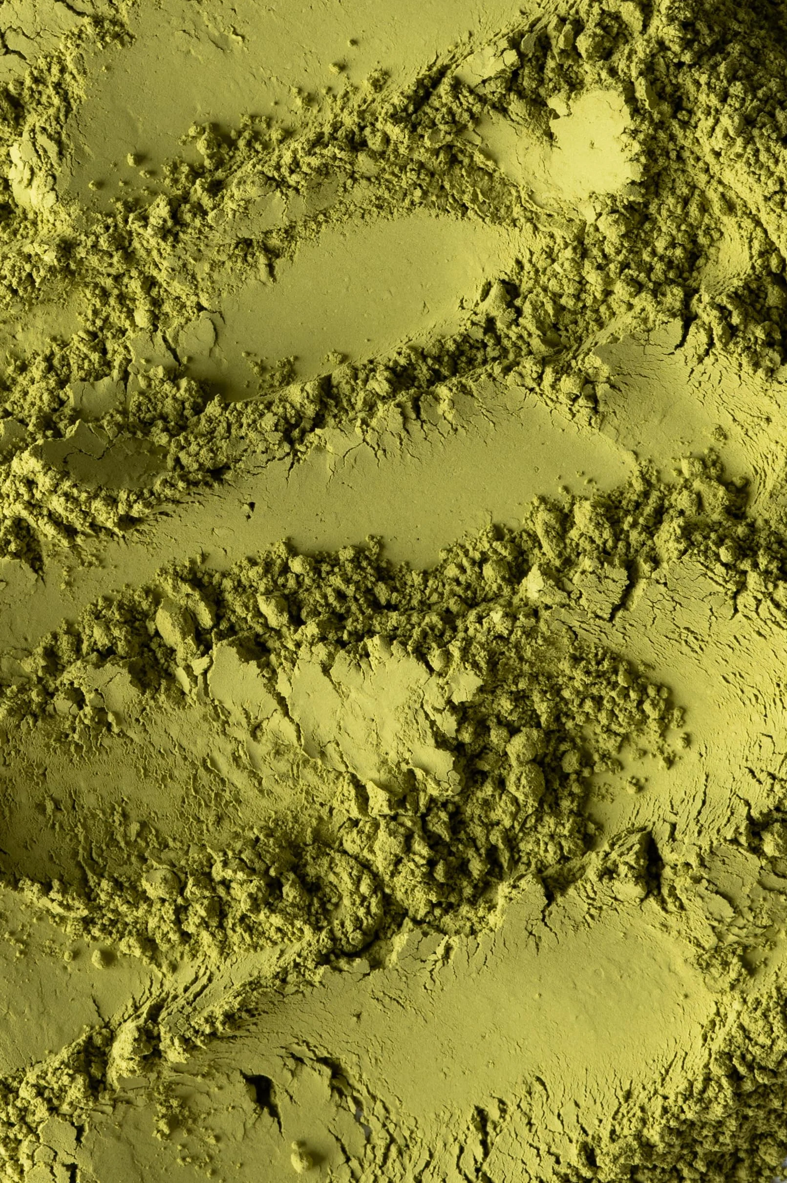Biojoy Matcha in Polvere BIO (250 g), Per Tè e Latte (Camellia Sinensis)
