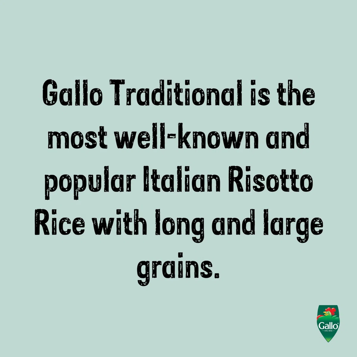 KG 5 RISO GALLO THAIBONNET PRIMA SCELTA LONG GRAIN PARBOILED RICE