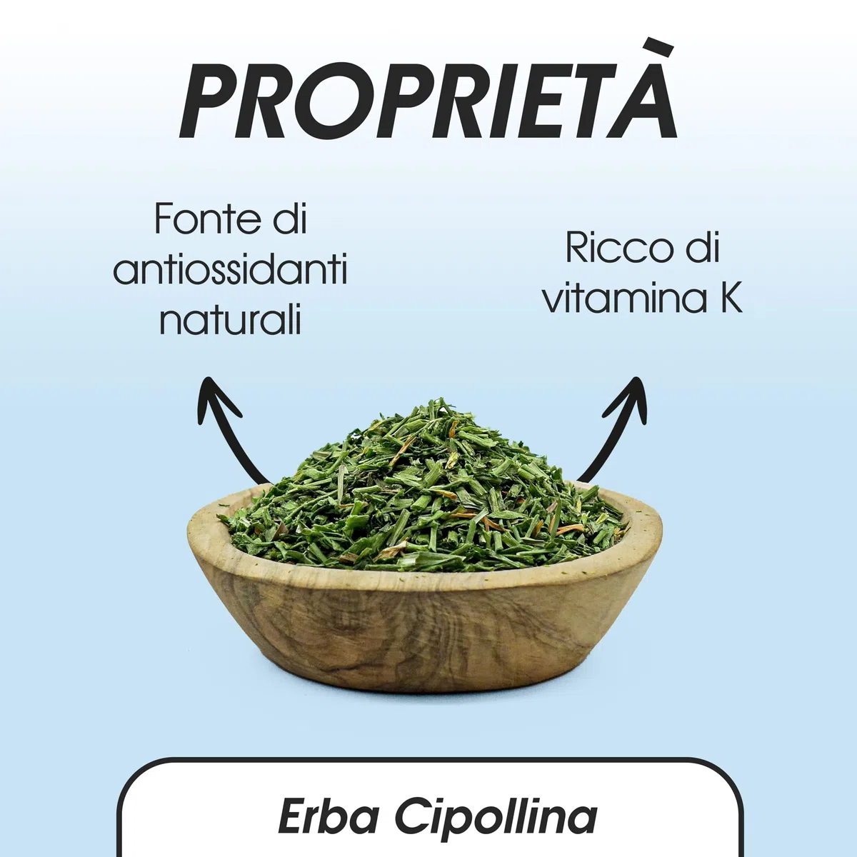 Erba Cipollina 600 gr - Cipollina Essiccata - Cipolline Sfuso - Erbe Naturali (600 gr)