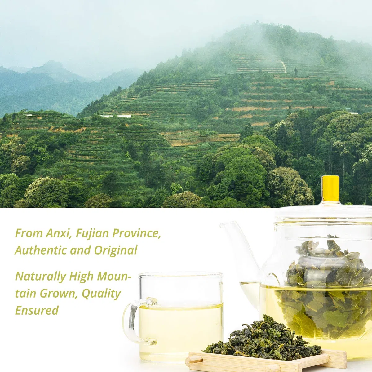 Oriarm 250 grammo Anxi Tie Guan Yin Tè Oolong in foglie - Tieguanyin Tè Blu Cinese - Tè Verde Wulong Ti Kuan Yin