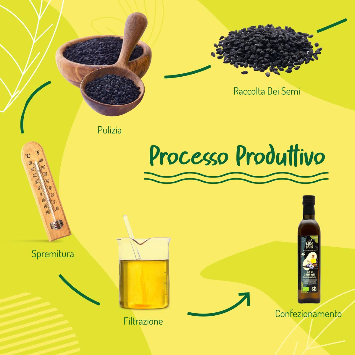 Olio di Semi di Cumino Nero Biologico - 500 ml. Olio di Cumino Nero Biologico da Semi di Cumino Nero o Nigella Sativa.