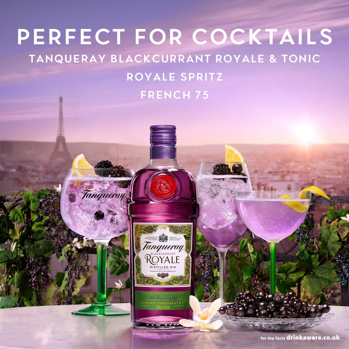 Tanqueray Blackcurrant ROYALE Distilled Gin 41,3% - 700 ml