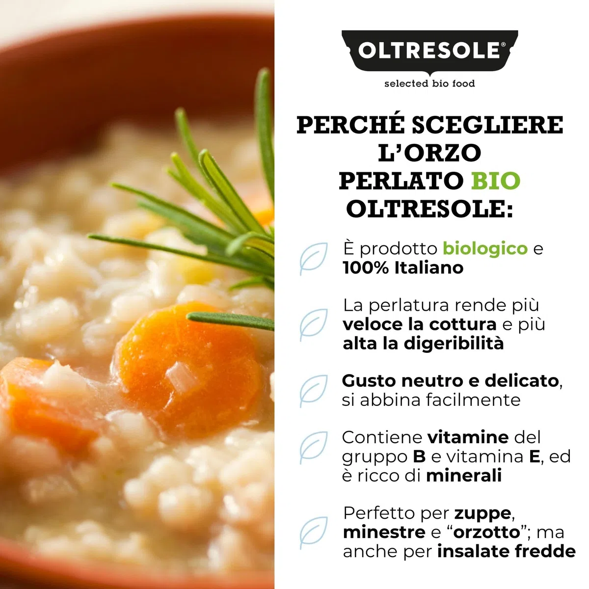 Oltresole, Orzo Perlato Italiano Biologico 5 kg, Cereale Bio Ricco di Fibre, Ottimo per Zuppe, Insalate e Minestre, Prodotto da Agricoltura Italiana, Formato Convenienza
