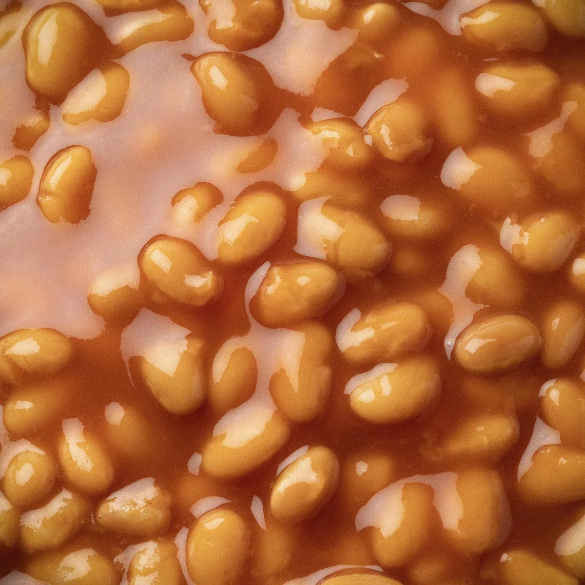 Fagioli alla Bud Spencer - In Salsa Barbecue con Fagioli Bianchi, Lattina da 400g (Pronti in 3 minuti, Senza Glutine, Vegani, Prodotti in Italia)