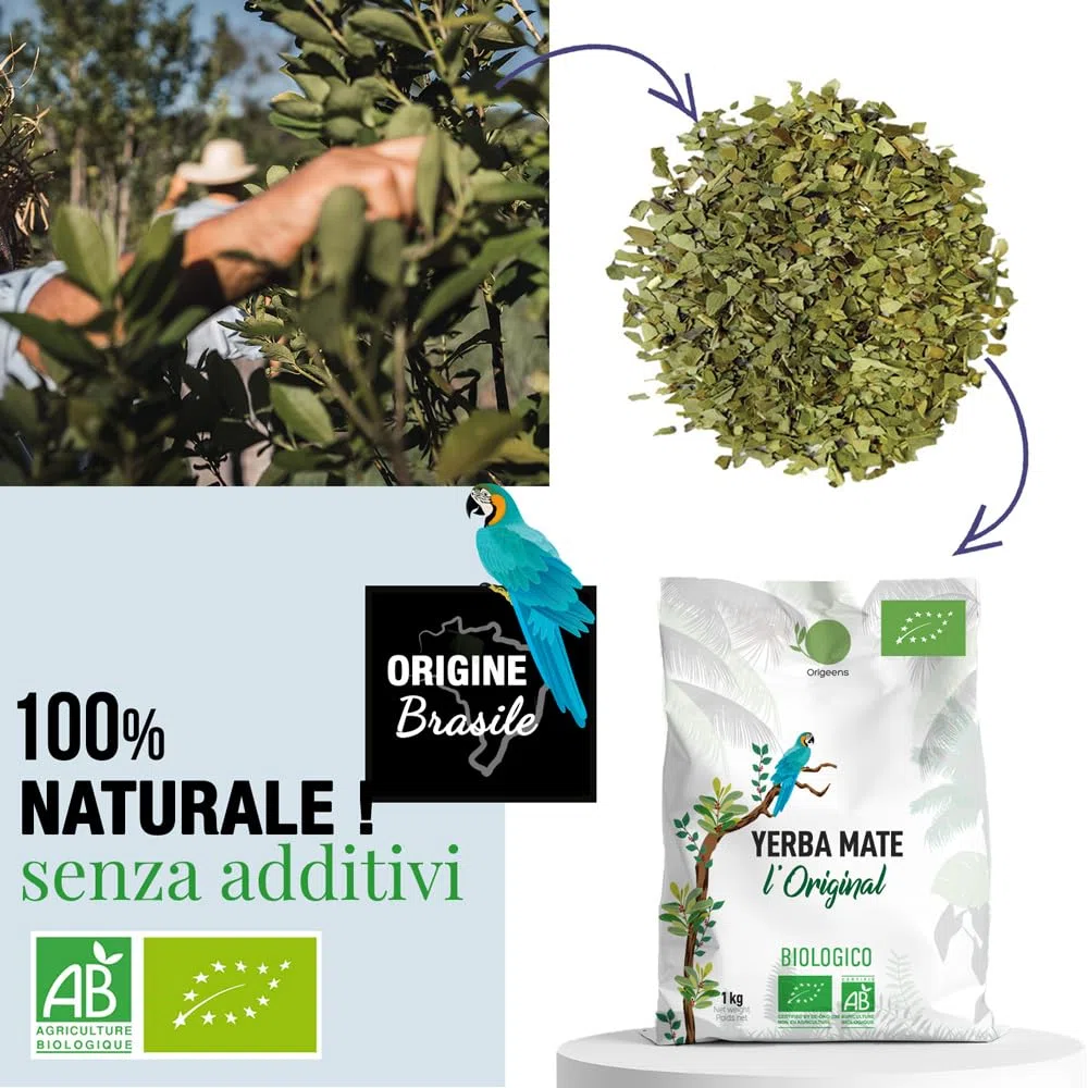 ORIGEENS YERBA MATE BIO 1KG LOriginale - Yerba Mate Bio Non tostata, Raccolto a mano - Foglie, senza gambi e 0 polvere - Bevanda Energetica e Detox