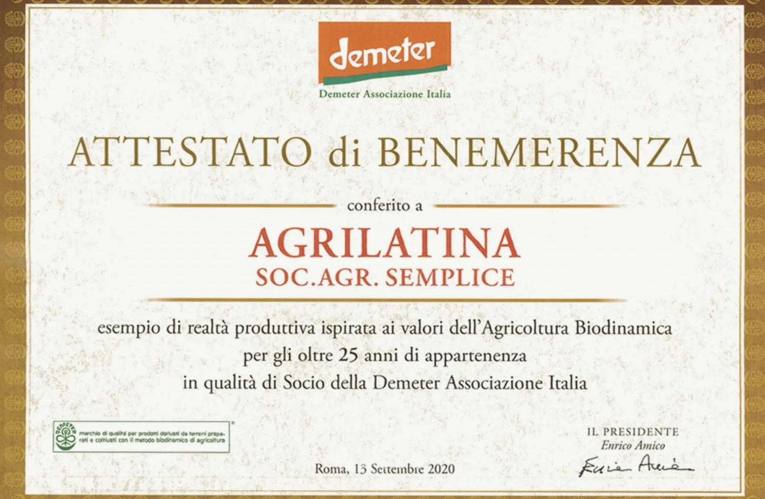 Patate Dolci Viola Biodinamiche 6kg