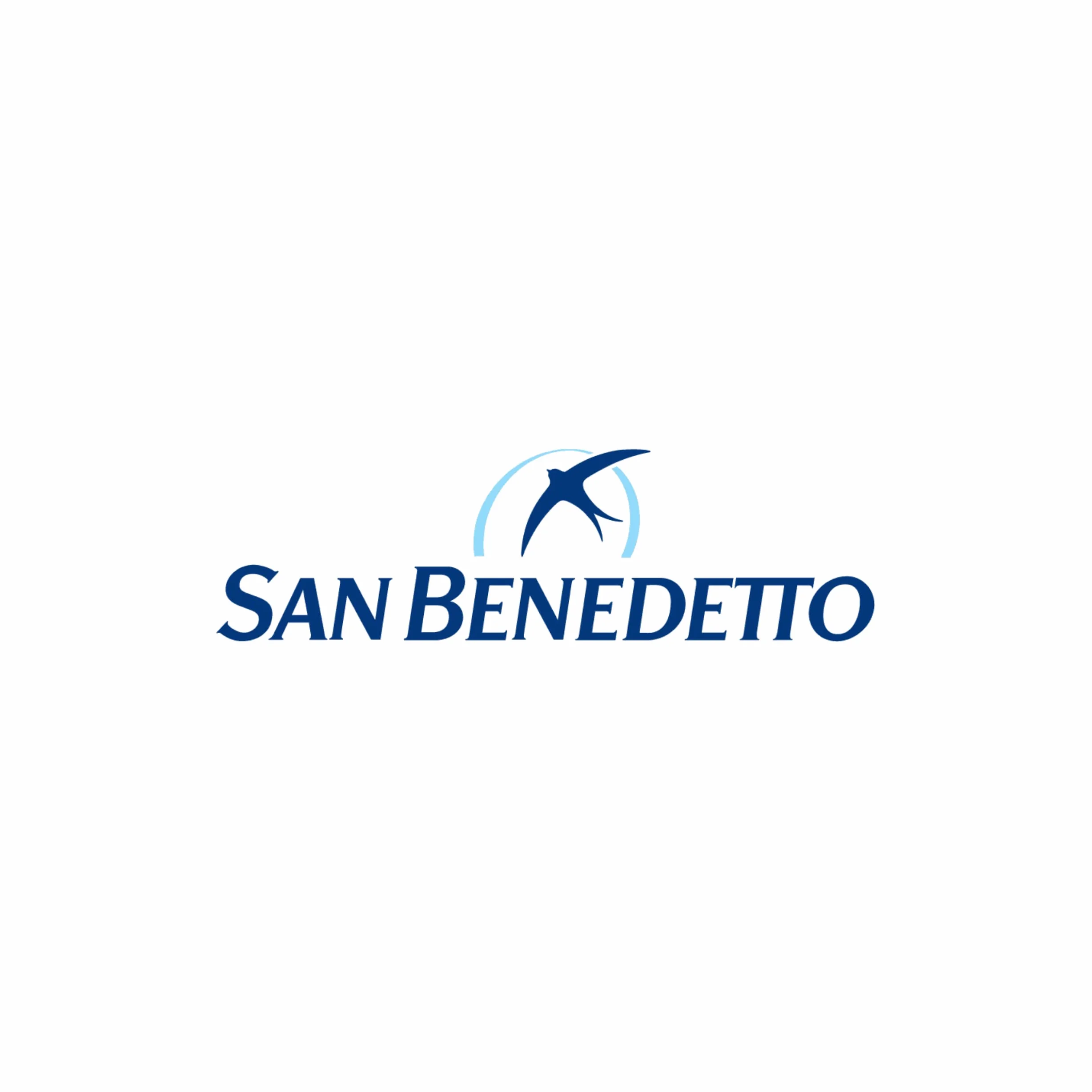 Acqua San Benedetto Tower Frizzante 1l | Acqua Minerale Frizzante Tower Icon Fonte Benedicta | Confezione da 12 Bottiglie di PET da 1000ml