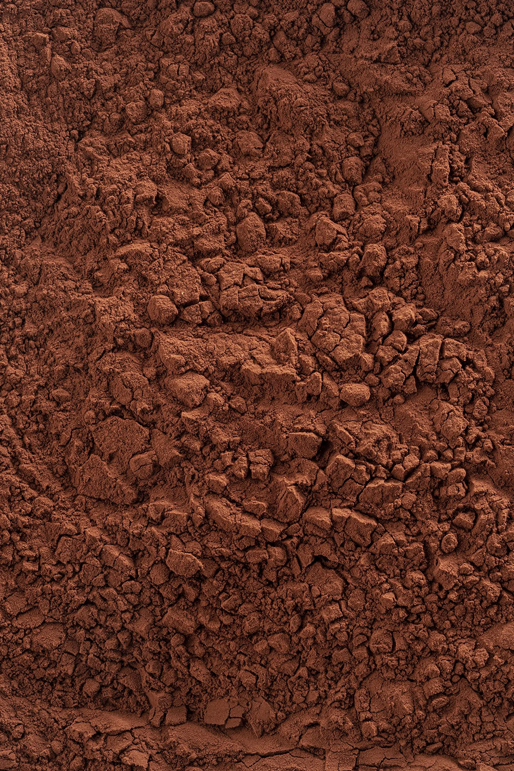 Cacao Barry - Cacao in polvere ROUGE ULTIME 1kg