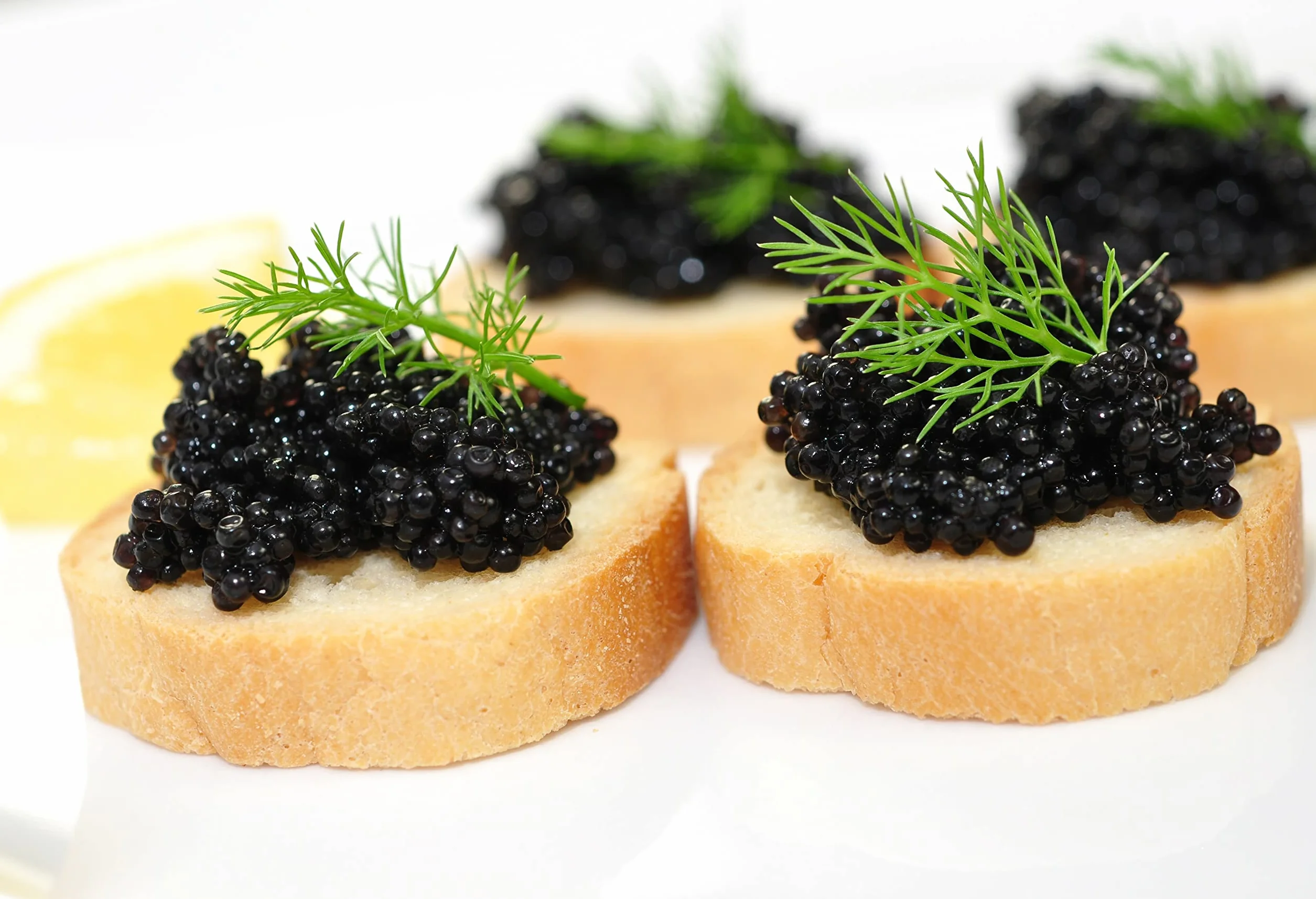Attilus Classic Siberian Caviar