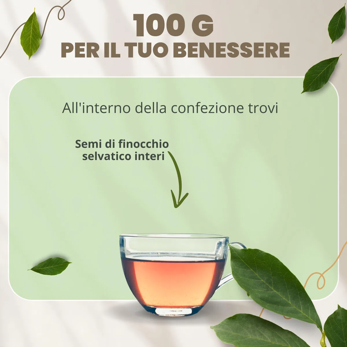 PATRIZIO BRESEGHELLO - Semi Finocchio Frutti Verdi Extra 100 g per Benessere Intestinale e Digestione - Semi di Finocchio per Tisana e Infuso 100% Naturali