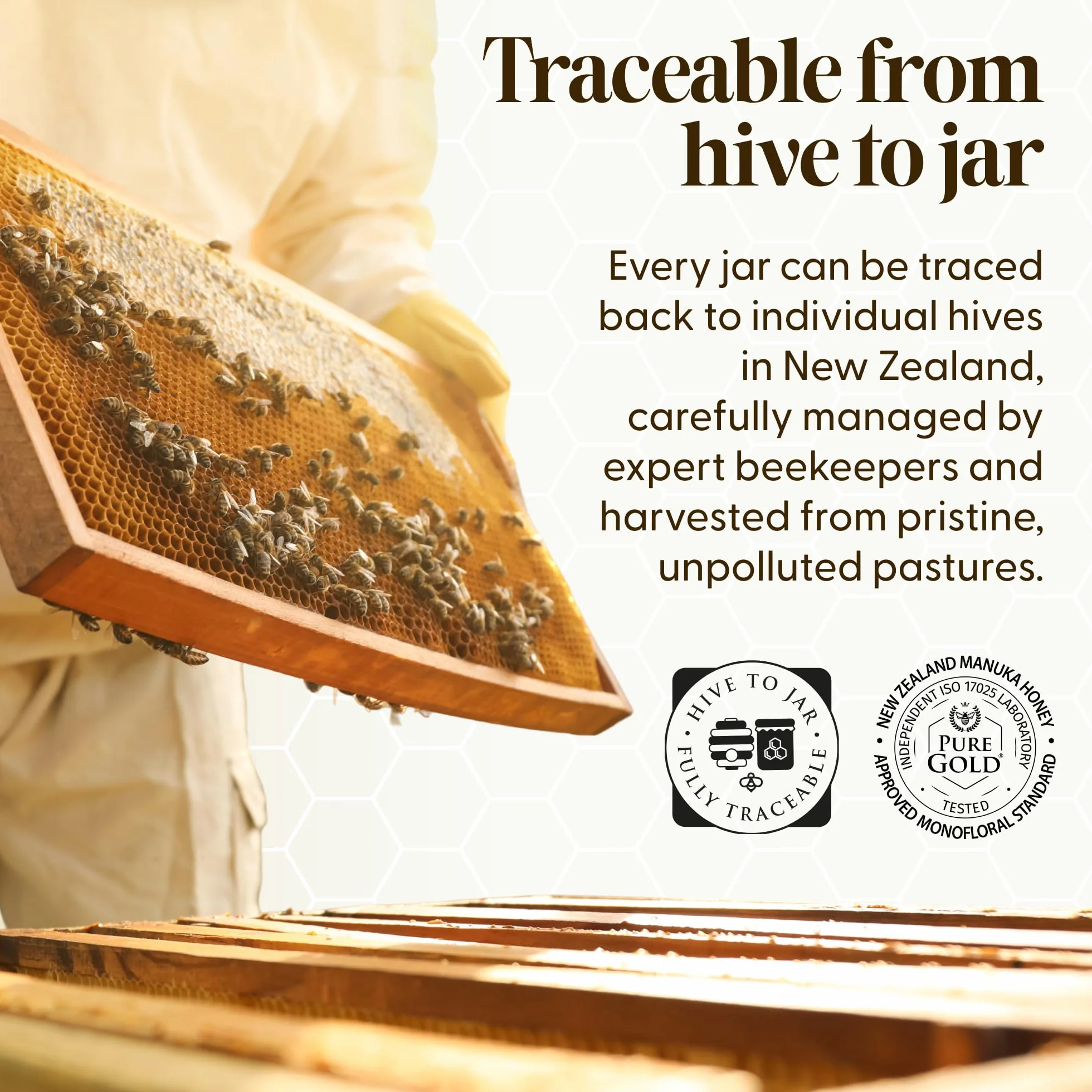Pure Gold Miele di Manuka MGO 300+ - Invasettato e sigillato in Nuova Zelanda – Manuka Honey Premium Certificato – Puro Miele di Manuka – 250g