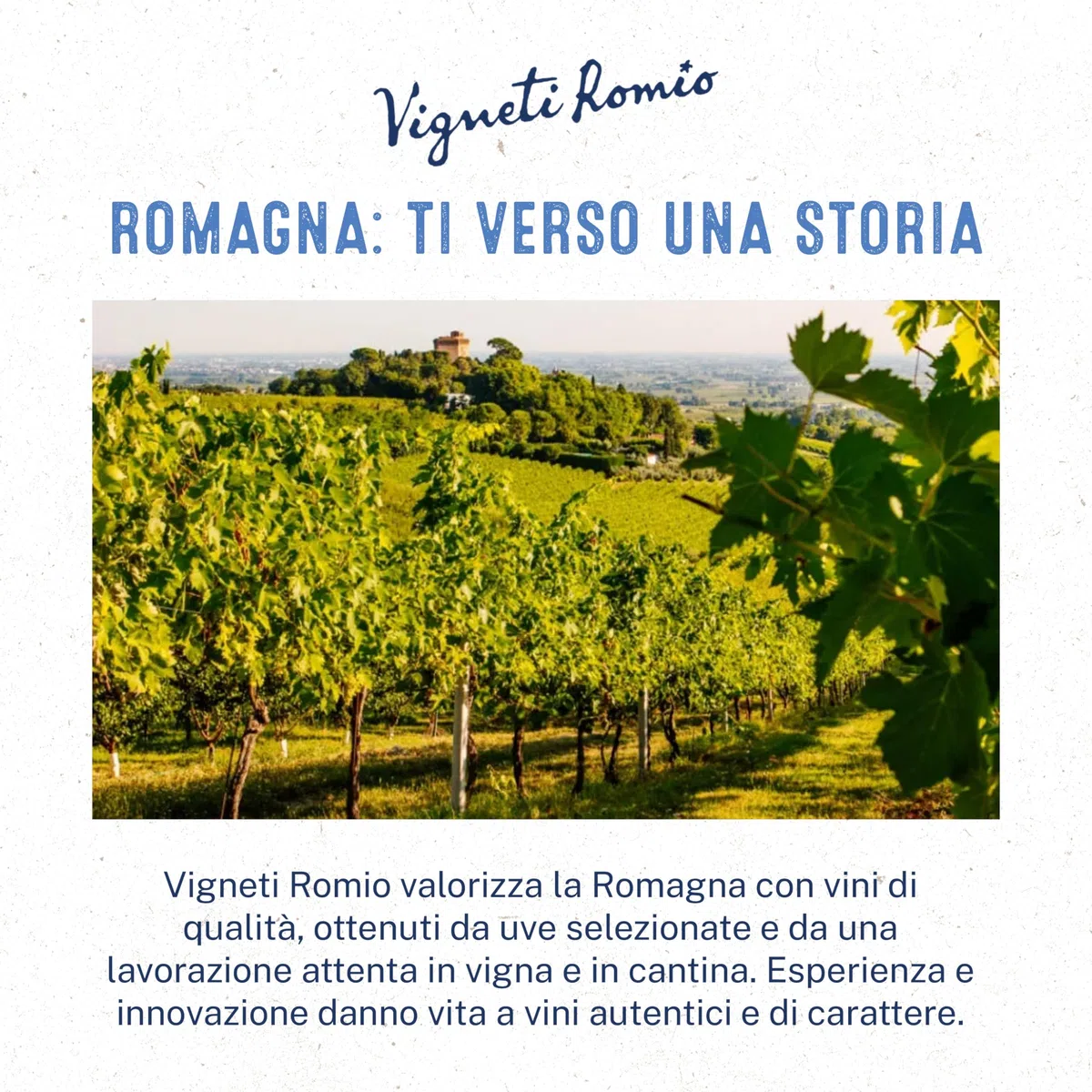 Vigneti Romio Trebbiano Vino Spumante Bianco Novebolle Romagna DOC, Gusto Fresco con Note Fruttate, 11.5% Vol, Confezione con 6 Bottiglie da 750 ml