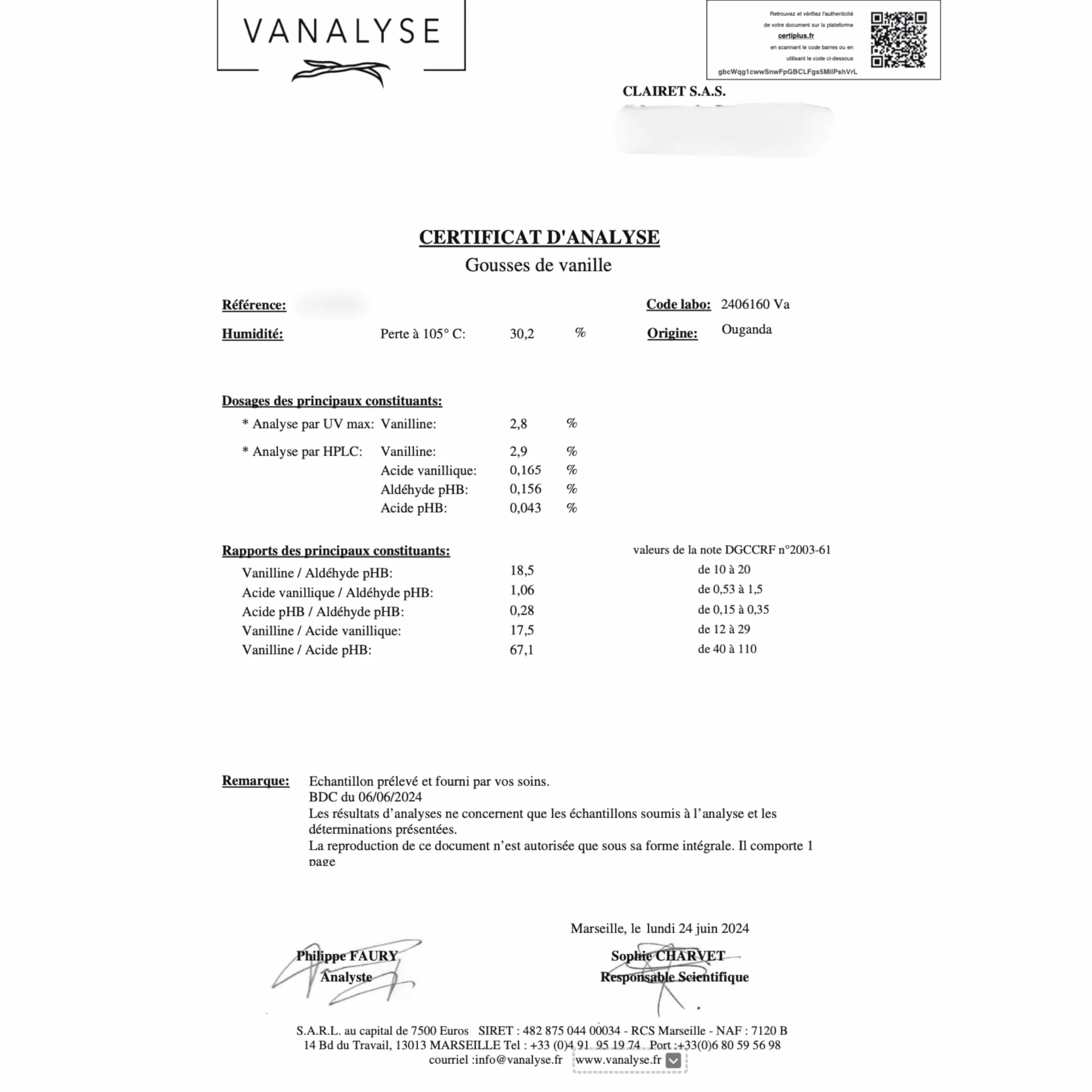 50 Baccelli di Vaniglia Selezione Premium 14-16 cm Qualità Extra, Morbide, Profumate - Confezione Eco