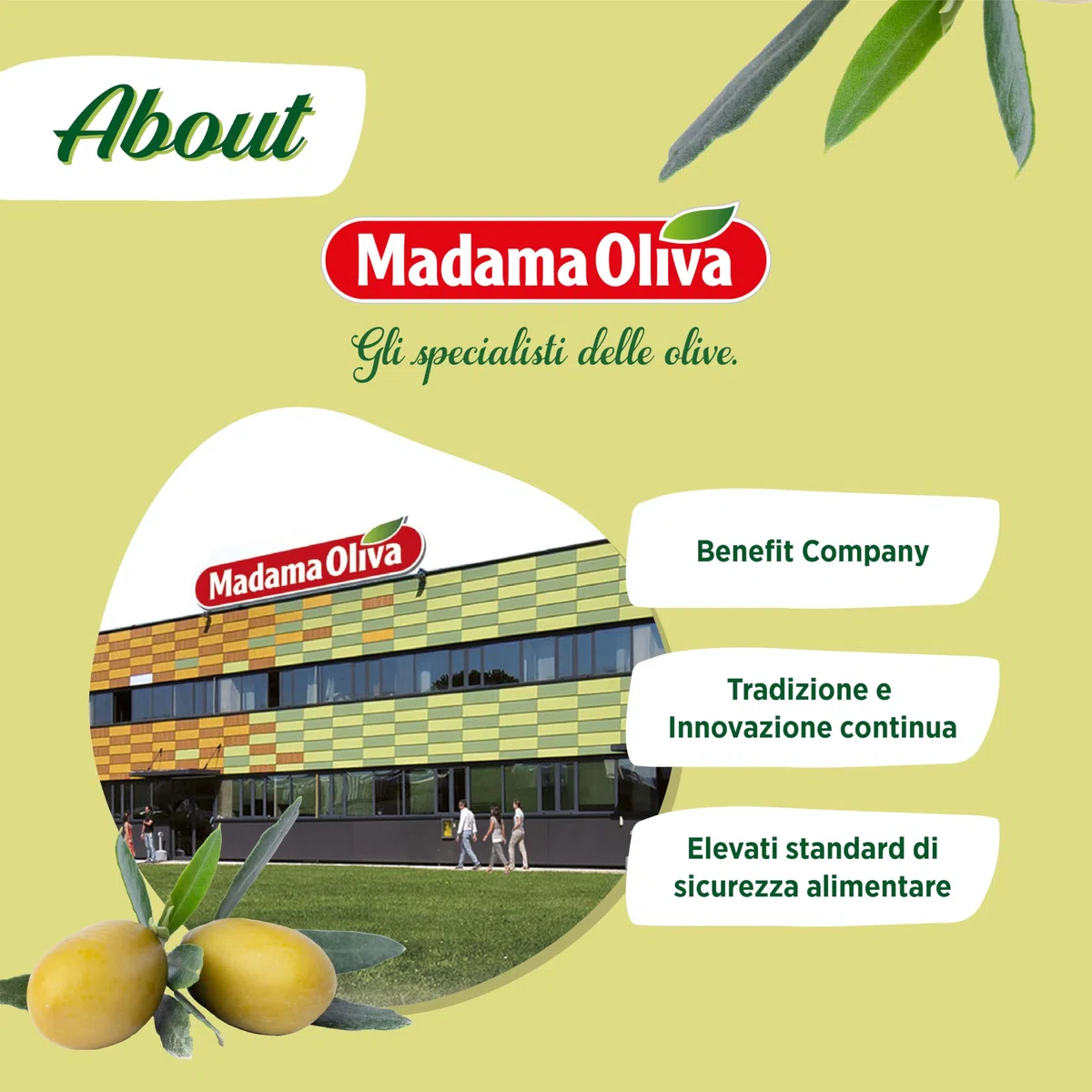 MADAMA OLIVA, Olive Verdi Denocciolate dal Colore Verde Intenso e Gusto Deciso, 100% Made in Italy, Senza Conservanti Aggiunti, 100% Vegetale, Box da 20 Buste in Alluminio da 30 gr
