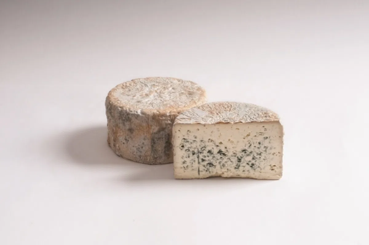 Edelpilz erborinato Ennstalmilch ca. 650 gr.