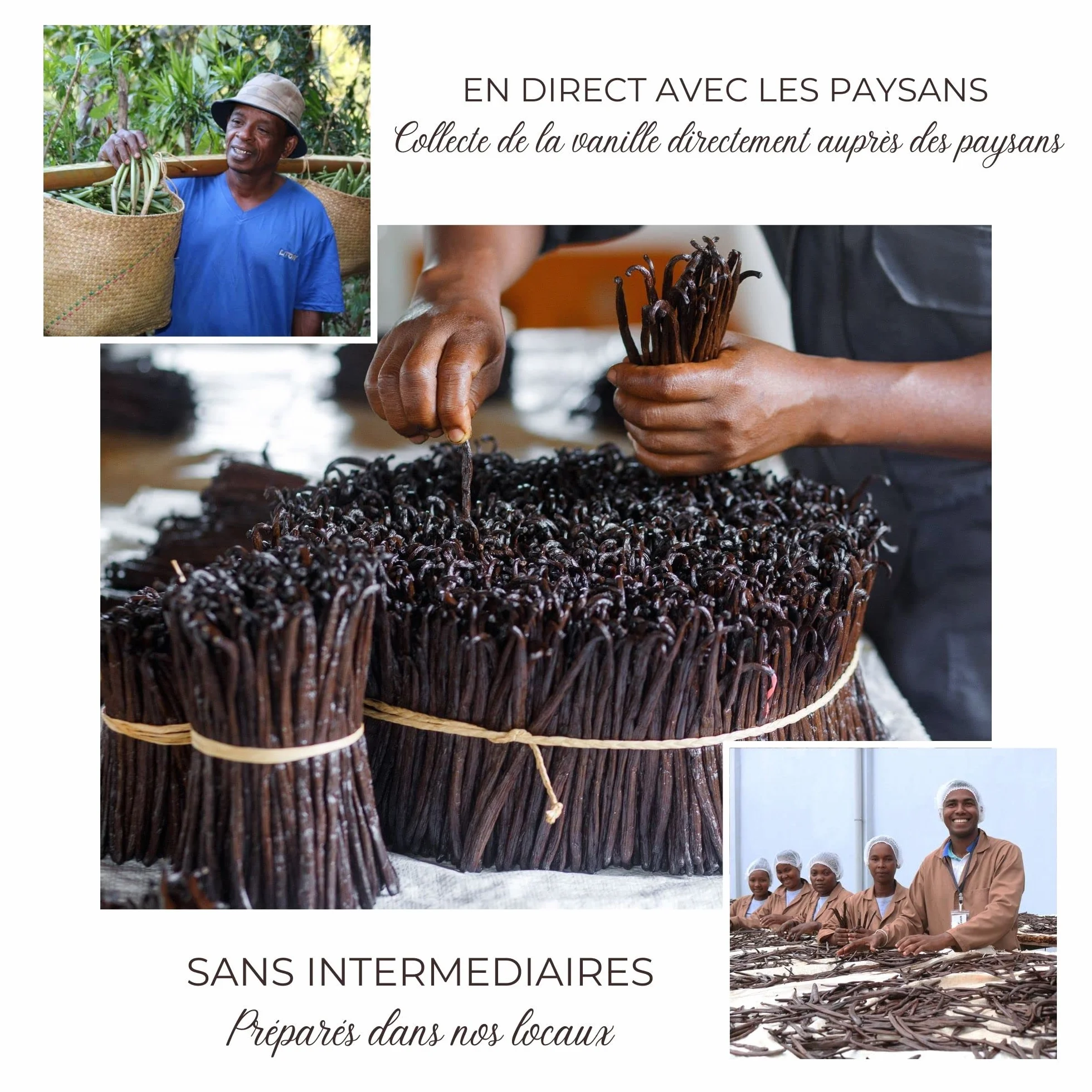 Mavany - 5 baccelli di vaniglia BOURBON de Madagascar – Selezione di qualità gourmet per pasticceria/cucina – M 14 – 16 cm – Sacchetto di freschezza richiudibile