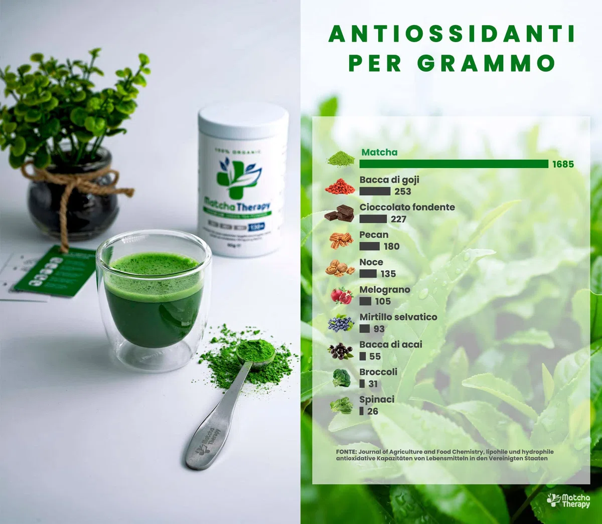 MatchaTherapy 30+ | Tè Matcha 100% Biologico | 60g | Almeno 30 mg/g di contenuto di catechina EGCG testato | Migliora sistema immunitario & livello di energia | Grado Premium | Tè verde dal Giappone