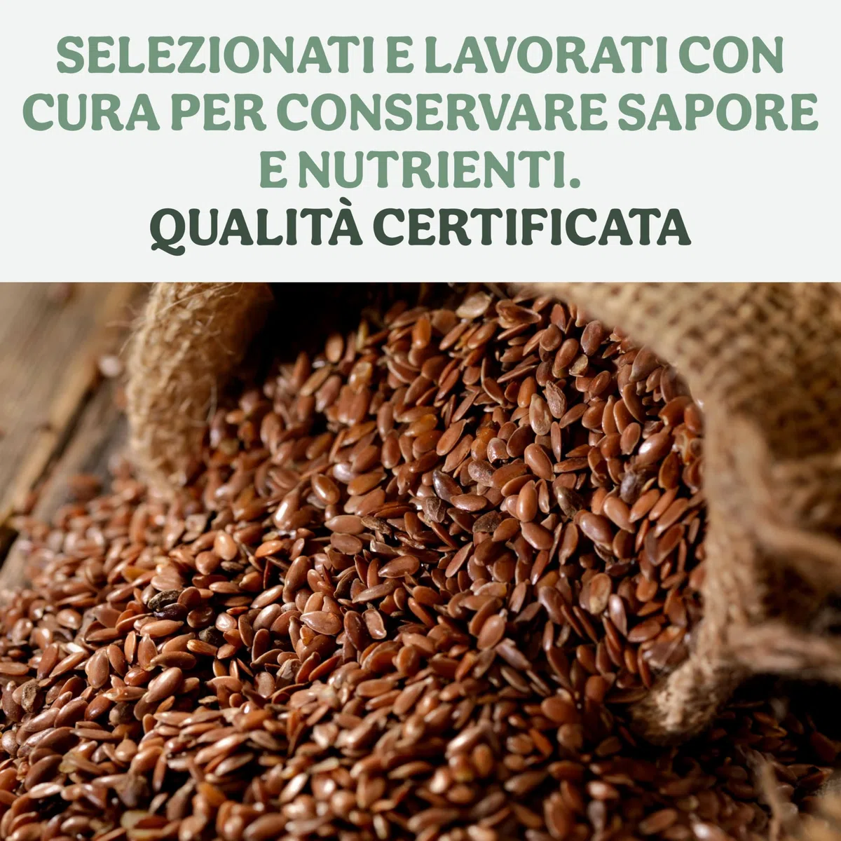 Probios Semi di Lino Fondente Bio - Semi di Lino Bio Senza Glutine - Ricco di Minerali e Fibre - Confezione da 5kg