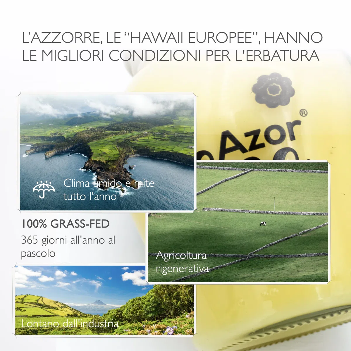 PROTERO Ghee d'Azzorre | 365' pascolo | burro chiarificato puro | grass-fed