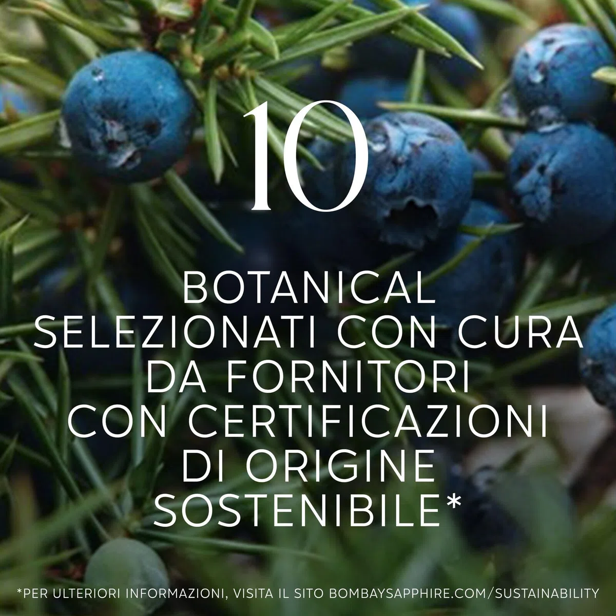 Lattine di cocktail pronti da bere Bombay Sapphire Gin and Tonic Ready to Drink, 6,5% vol., 25 cl / 250 ml (Confezione da 12), Drink alcolici con London Dry Gin 100% infuso a vapore