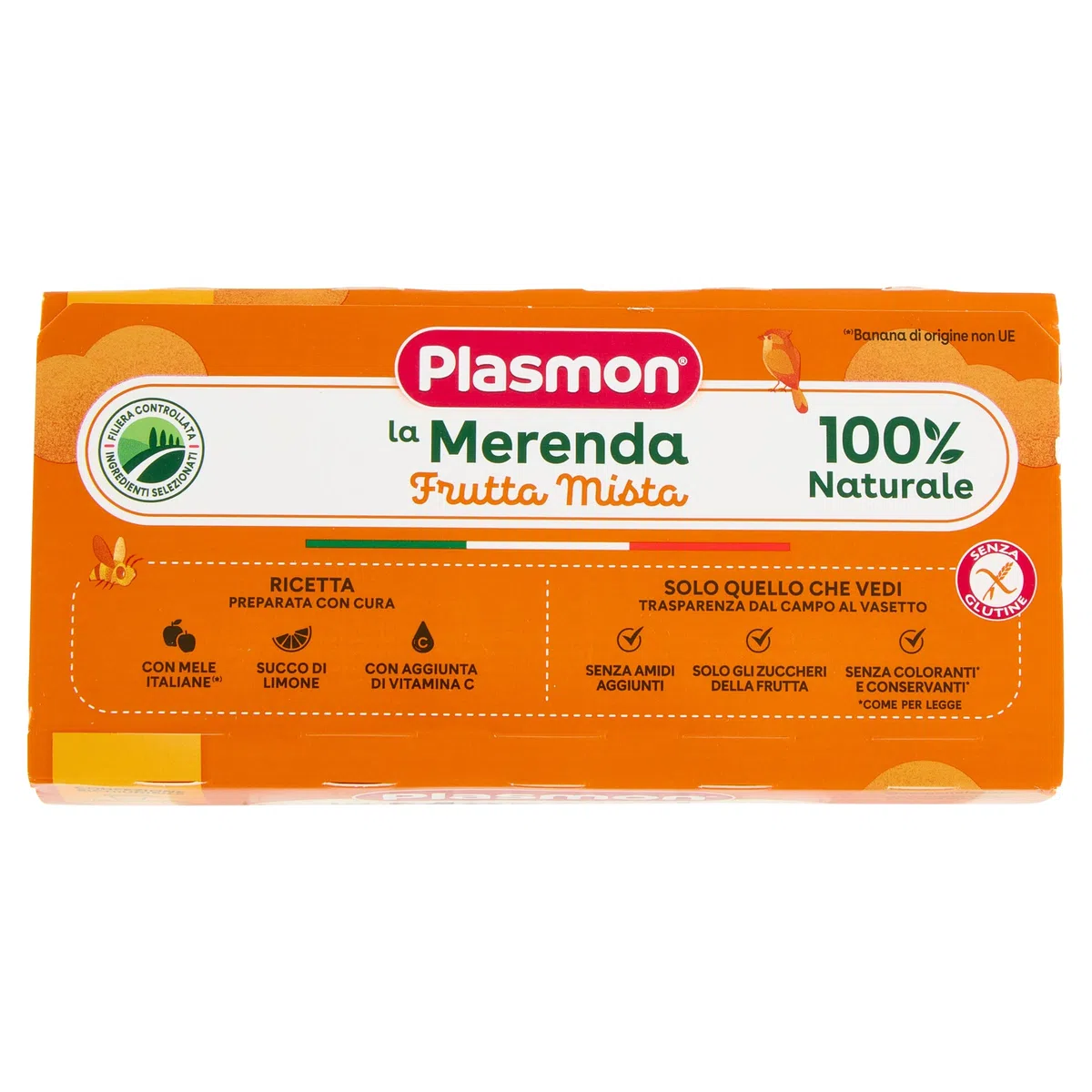 Plasmon Frutta dei Bambini - Frutta Mista 4x100g (6 Confezioni)