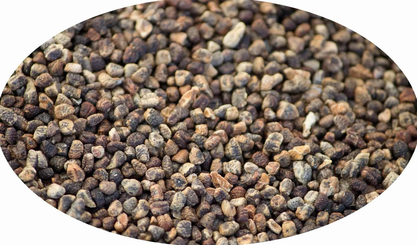 Eder Spezie - Cardamomo nero - 250g