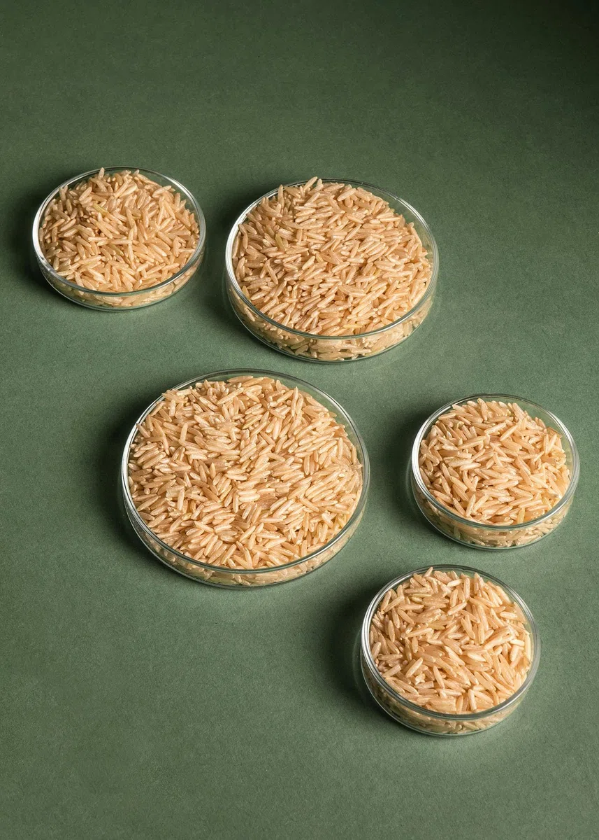 KoRo - Riso Basmati integrale bio 5 kg - Gusto aromatico - Confezione convenienza - Da agricoltura biologica - Ideale per insalate o come contorno