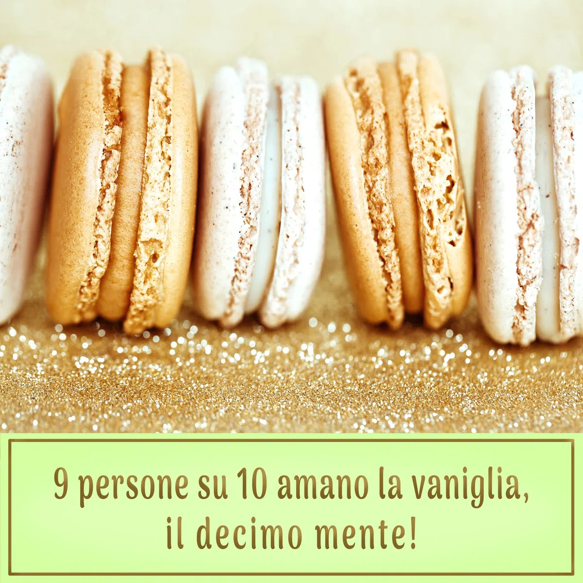 15 Baccelli XL • Vaniglia Bourbon del Madagascar • GRAND CRU • Bacche XL 15/18cm • 1 Sacchetto FreshZIP Vanillia