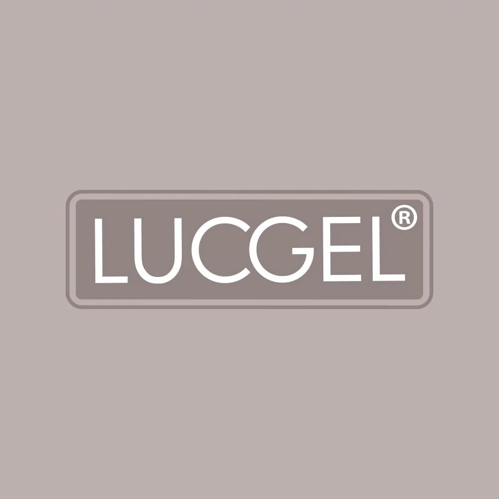 Lucgel Uovo Cioccolato al Latte 320g Dragon Ball con Maxi Sorpresa Esterna