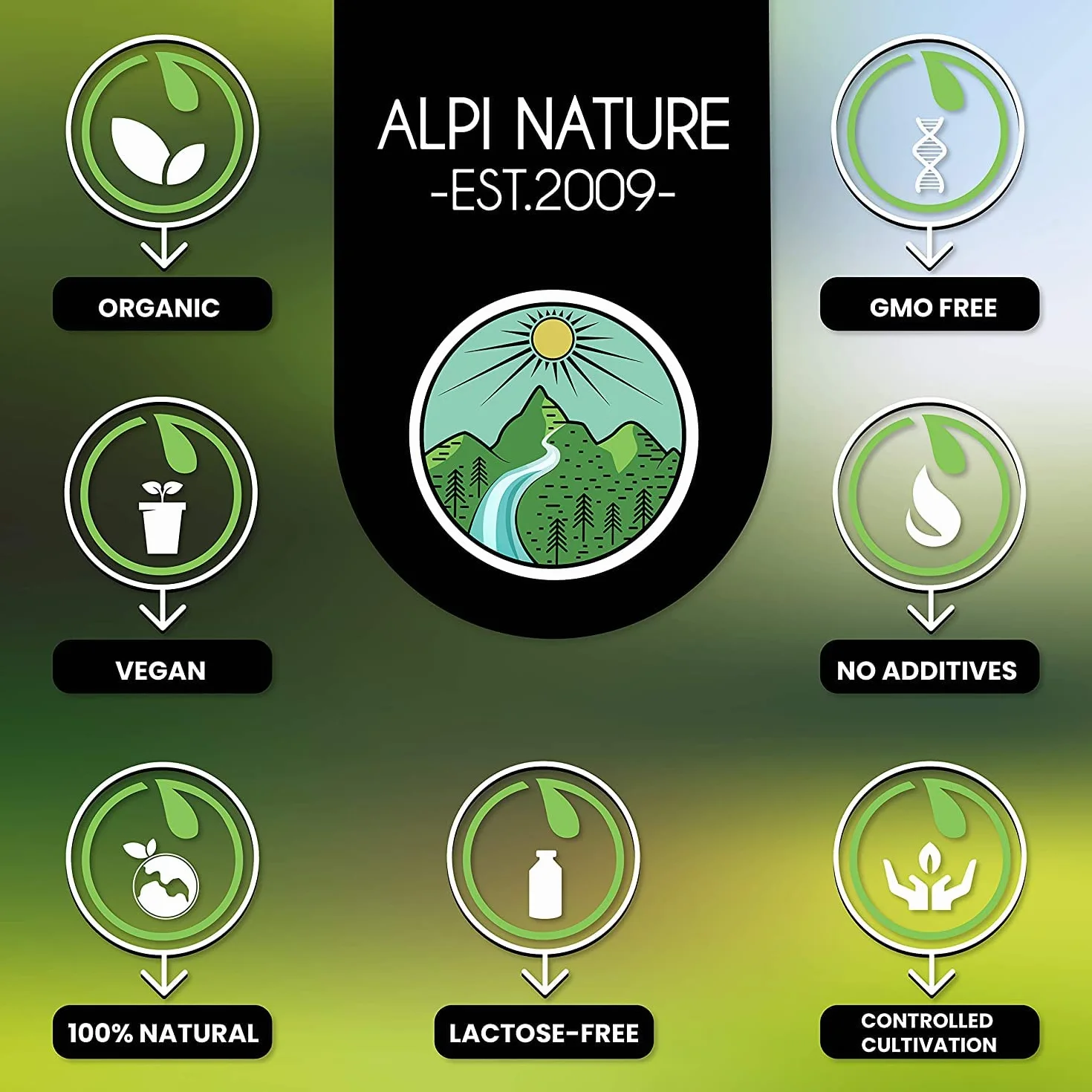Alpi Nature Foglie di Alloro BIO 200g, Foglie Intere Essiccate, Spezia di Alloro per Cucina