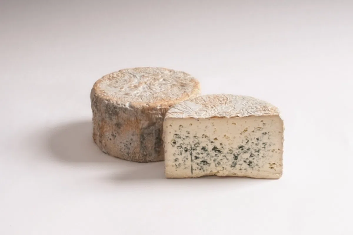 Edelpilz erborinato Ennstalmilch ca. 650 gr.