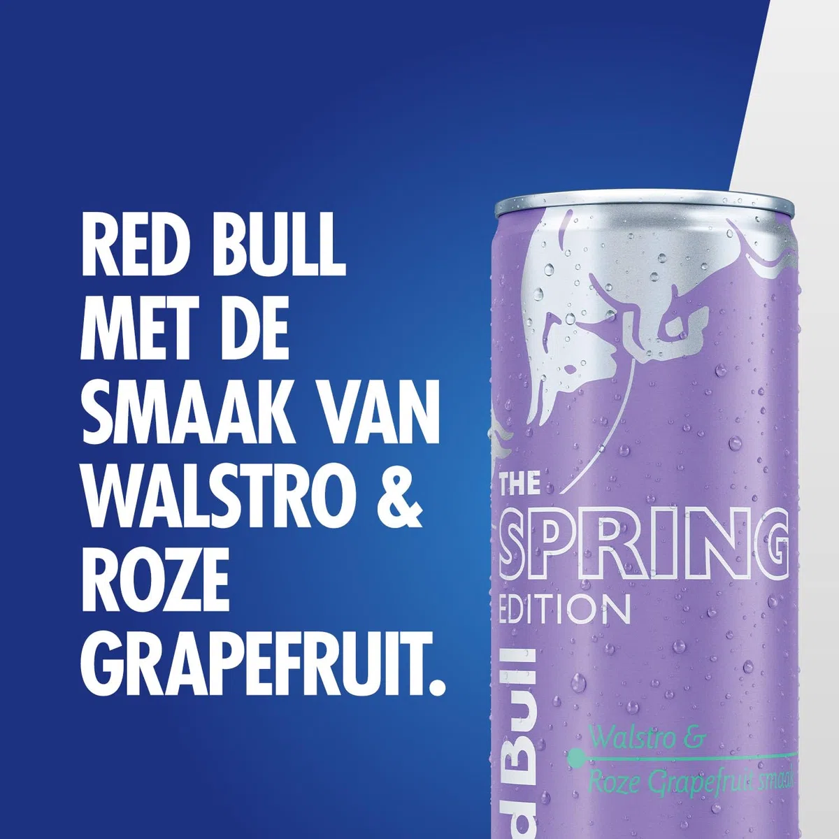 Red Bull - The Spring Edition Walstro en Roze Grapefruit - sleekcan - 12x25 cl - NL