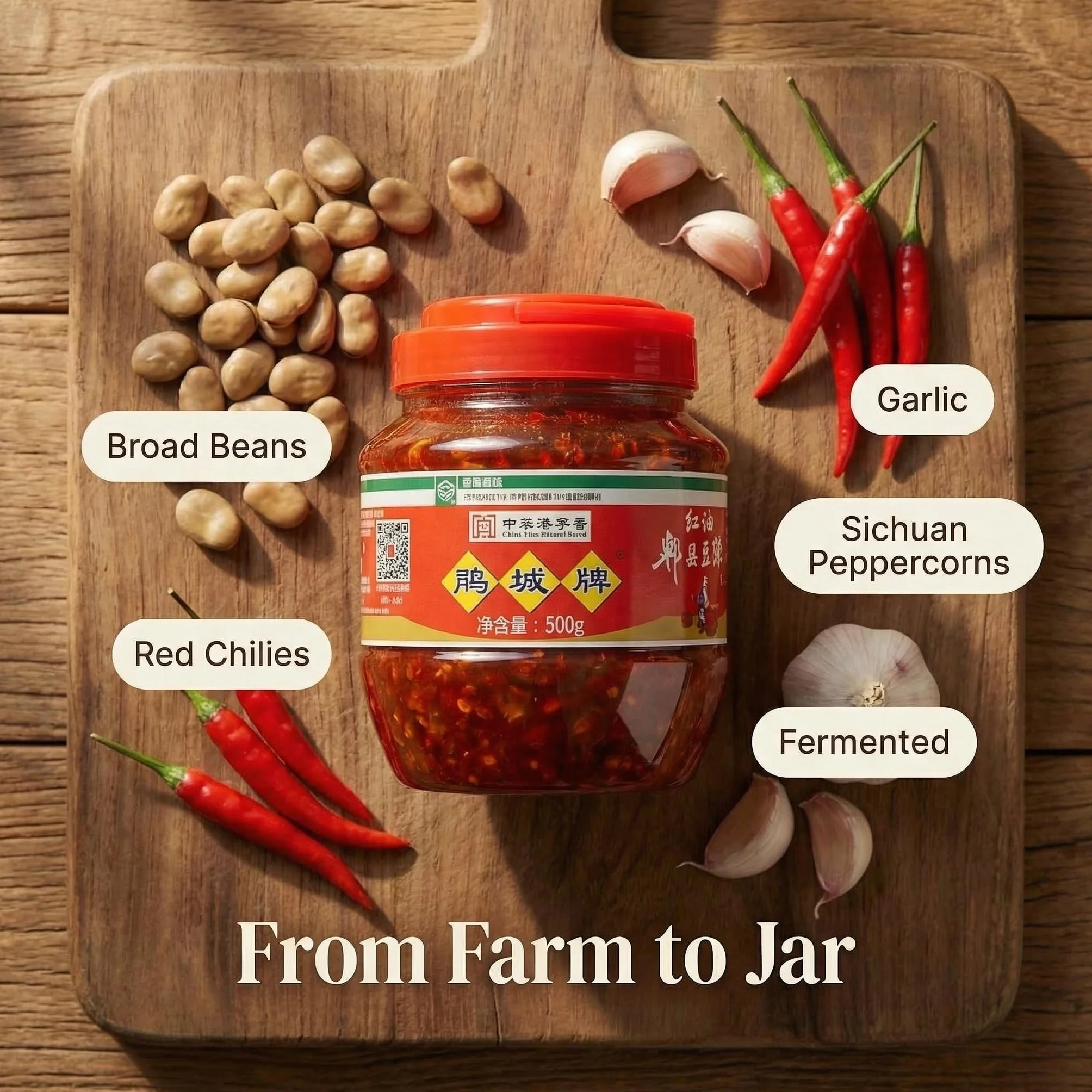 Doubanjiang 500g salsa di fagioli di peperoncino appiccicoso - Autentica pasta di fagioli rossi del Sichuan per cucinare e condire