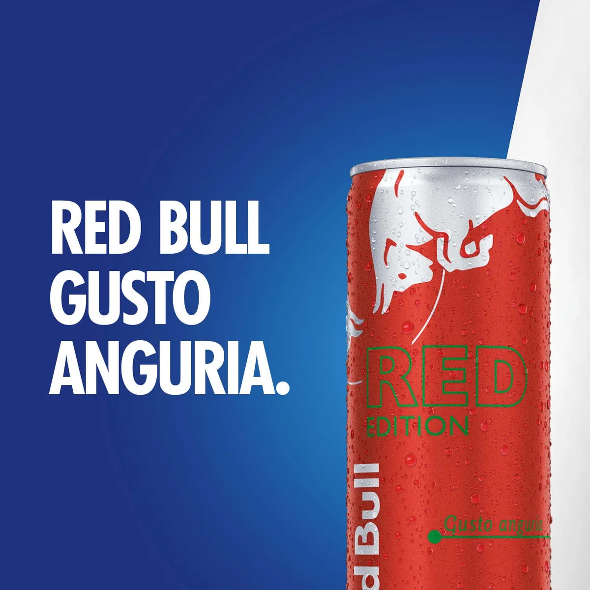Red Bull Energy Drink, Gusto Anguria, 250 ml (24 Lattine)