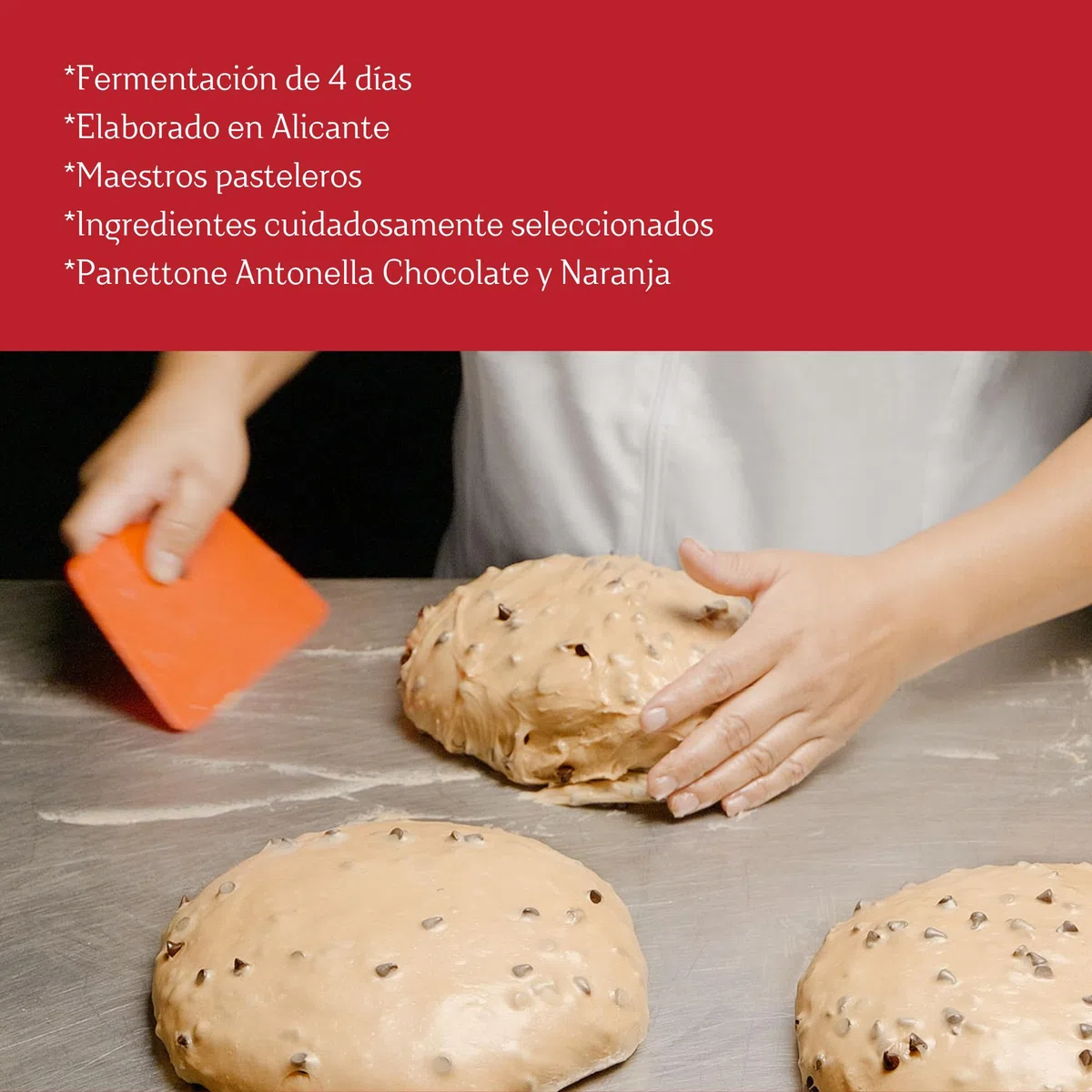 Panettone Antonella al Cioccolato e Arancia XXL 1200 g - Preparazione Artigianale con Ricetta Tradizionale - Delizioso Panettone di Natale