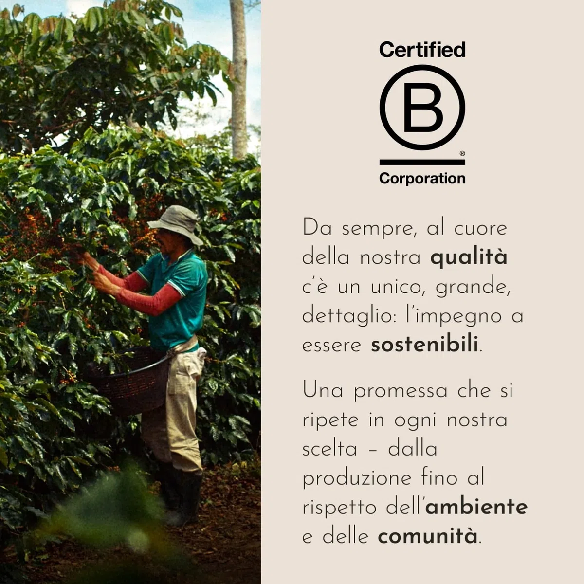 illy, Caffè in Capsule Iperespresso CLASSICO, 100% Arabica con Note di Fiori d'Arancio e Gelsomino, Gusto Morbido e Retrogusto Dolce, 1 Confezione da 30 Capsule