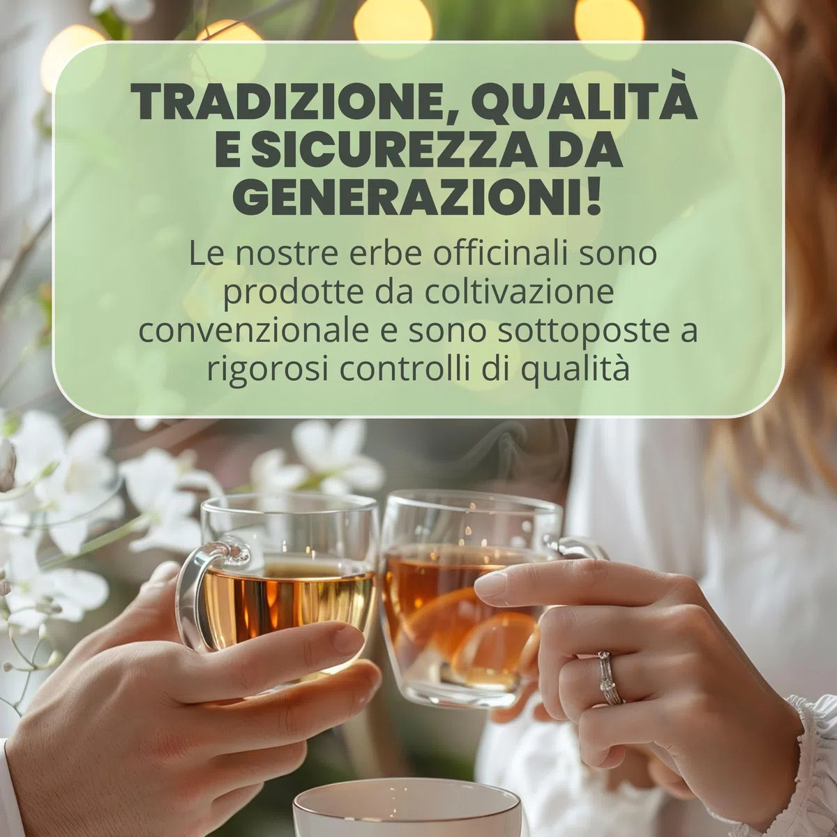PATRIZIO BRESEGHELLO - Semi Finocchio Frutti Verdi Extra 100 g per Benessere Intestinale e Digestione - Semi di Finocchio per Tisana e Infuso 100% Naturali