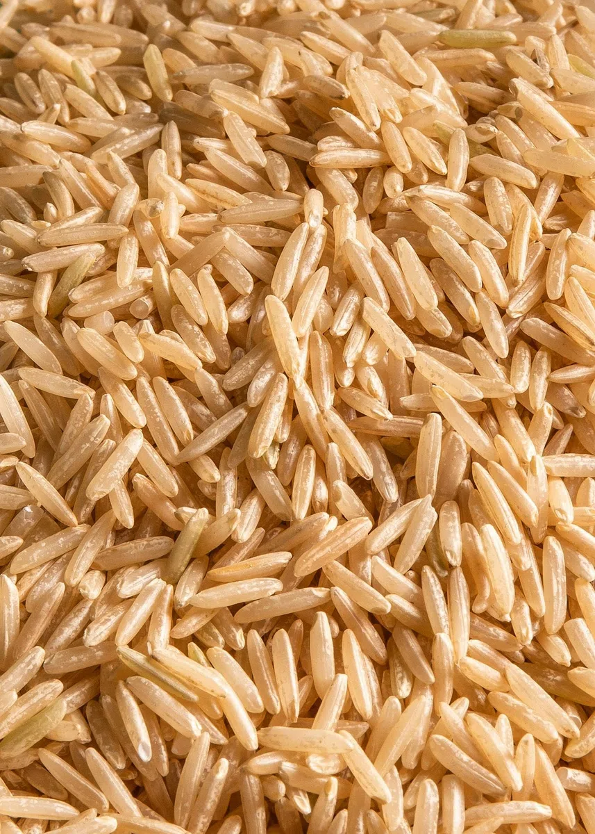 KoRo - Riso Basmati integrale bio 5 kg - Gusto aromatico - Confezione convenienza - Da agricoltura biologica - Ideale per insalate o come contorno