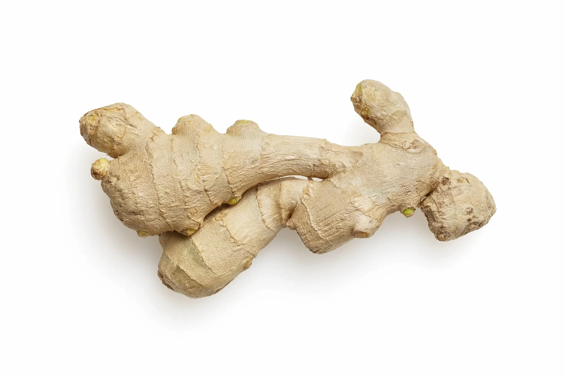 1kg di bastoncini delicati di zenzero BIO: bastoncini di zenzero canditi e zuccherati della migliore qualità biologica, senza solfiti
