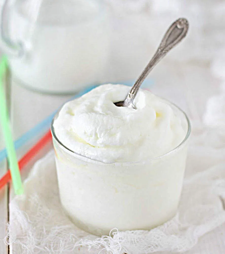 kg 1,5 Frozen Yogurt per Macchina da Yogurt Gusto Delicato Soft