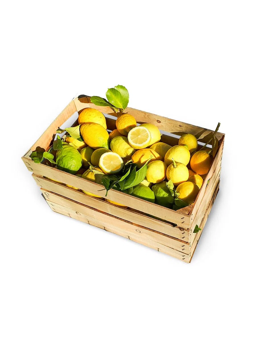 Estock1food Limoni freschi non Trattati 100% Biologici 10KG CALIBRO MISTO Prodotti in Sicilia buccia edibile prodotto top