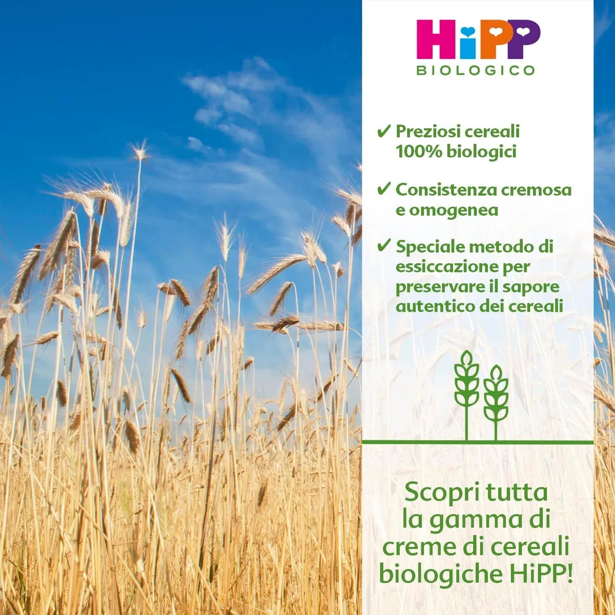 HiPP - Crema di Cereali Istantanea per Neonati, con Riso 100% Biologico, Crema di Riso Senza Glutine, 7 Confezioni da 200 gr, Pappa Pronta Neonato