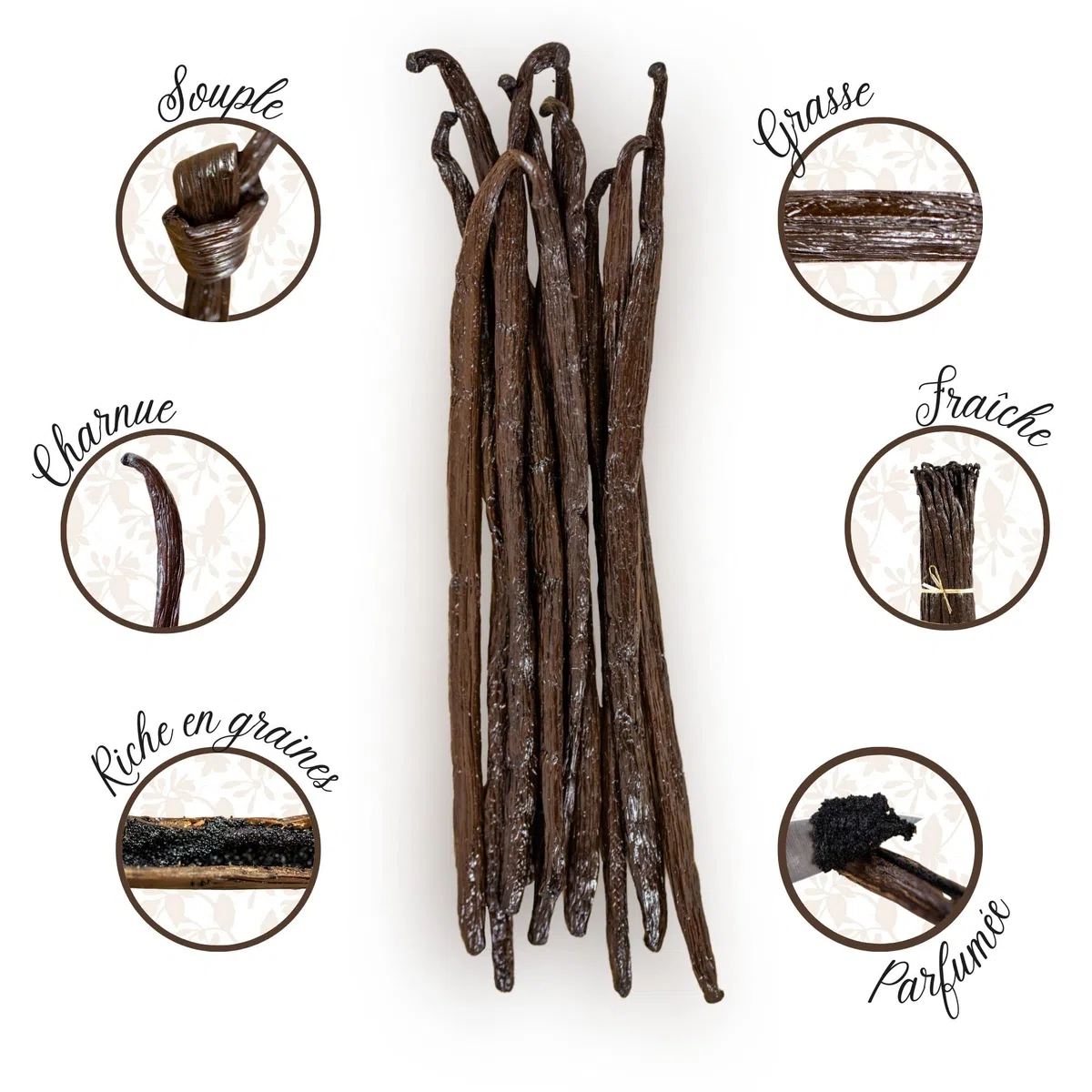 Mavany - 5 baccelli di vaniglia BOURBON de Madagascar – Selezione di qualità gourmet per pasticceria/cucina – M 14 – 16 cm – Sacchetto di freschezza richiudibile