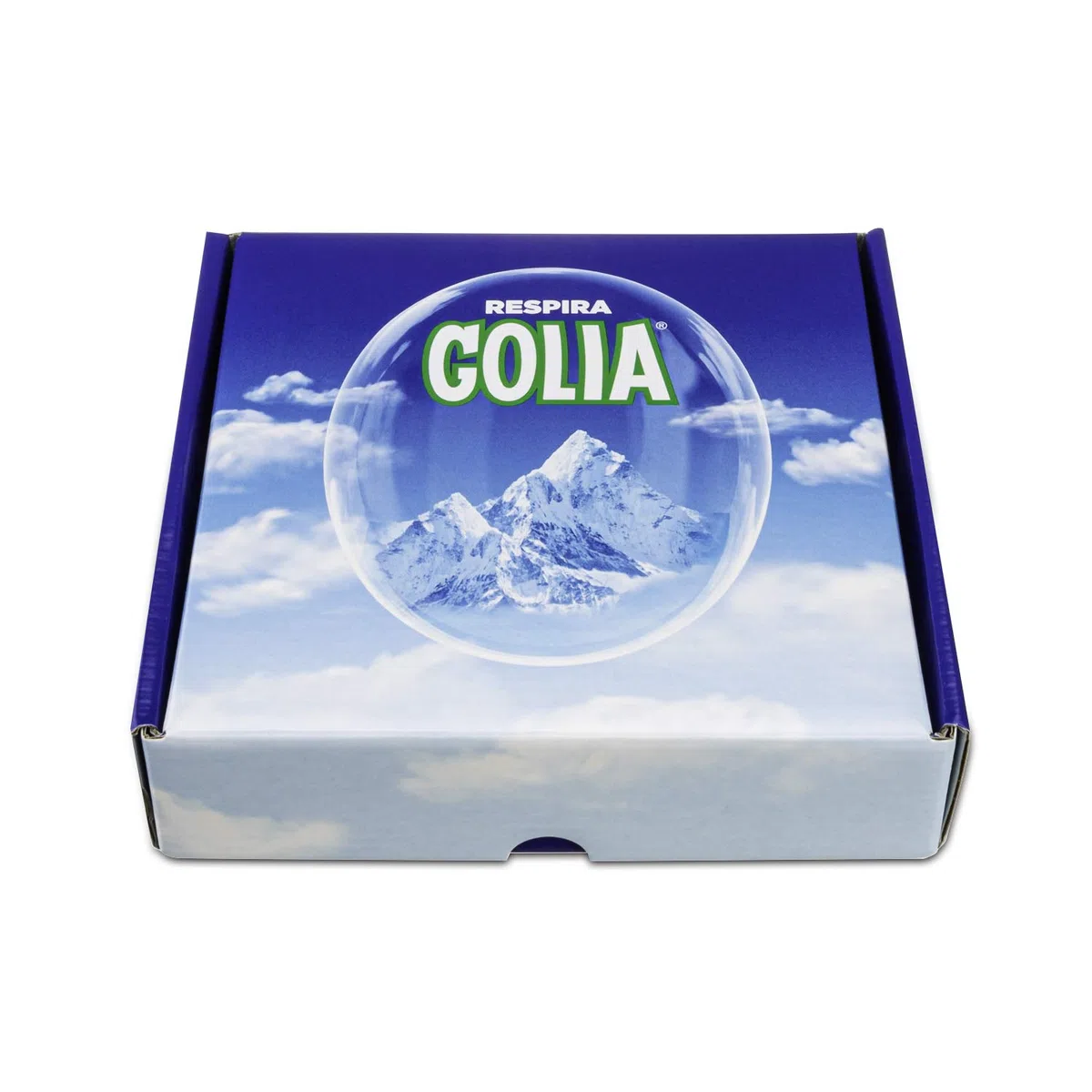 Golia Winter Box, Confezione Speciale da 12 Astucci Misti di Caramelle Dure, Gusto Menta, Frutta C, Defensive, Erbe Alpine, Senza Zucchero e Glutine, Fonte di Vitamine e Zinco, Ideale come Regalo
