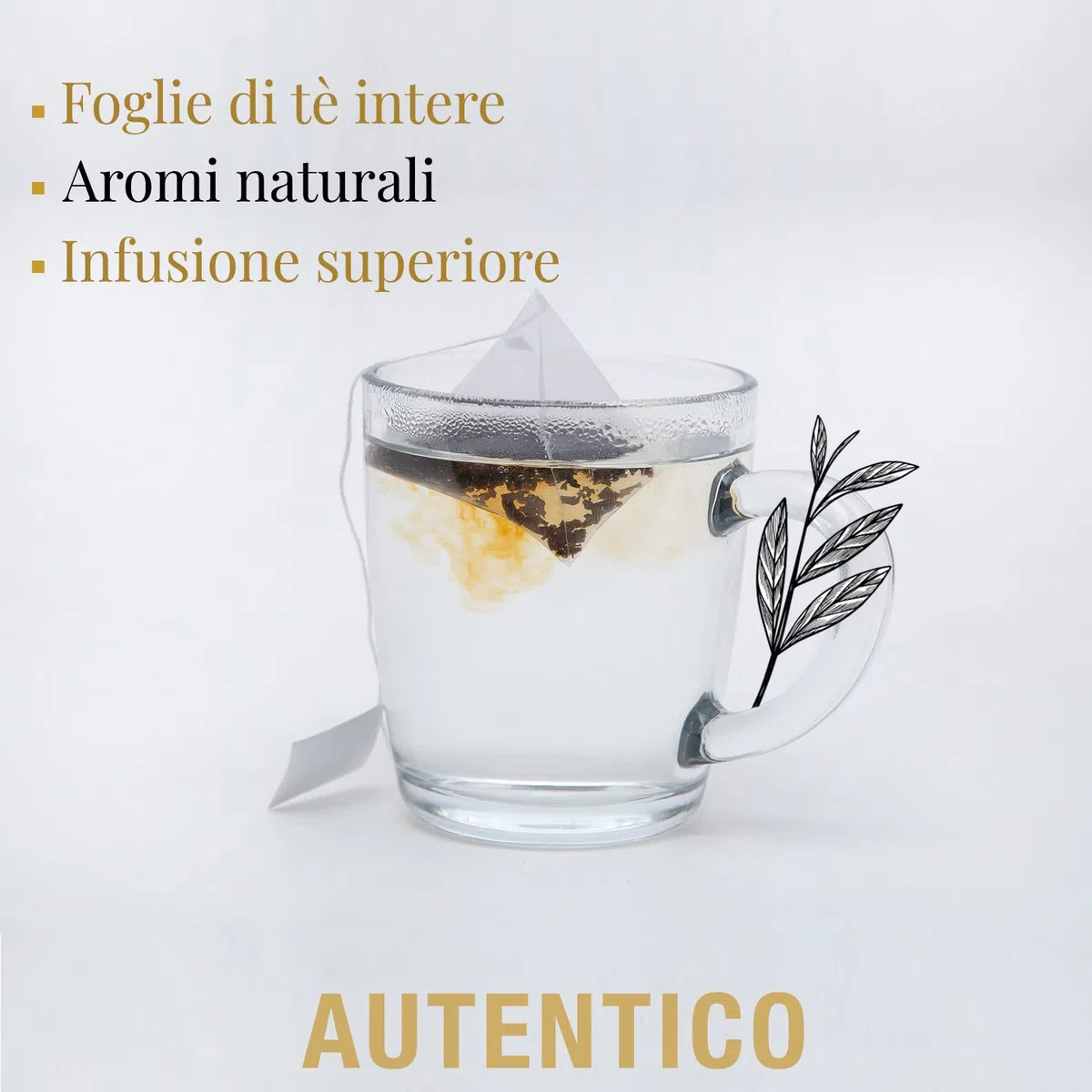 ORIGEENS Cofanetto TE BIO L’ESSENTIELLE | Assortimento di Te Verde, Nero, Bianco, Rooibos | Confezione Regalo 48 bustine di tè piramidali