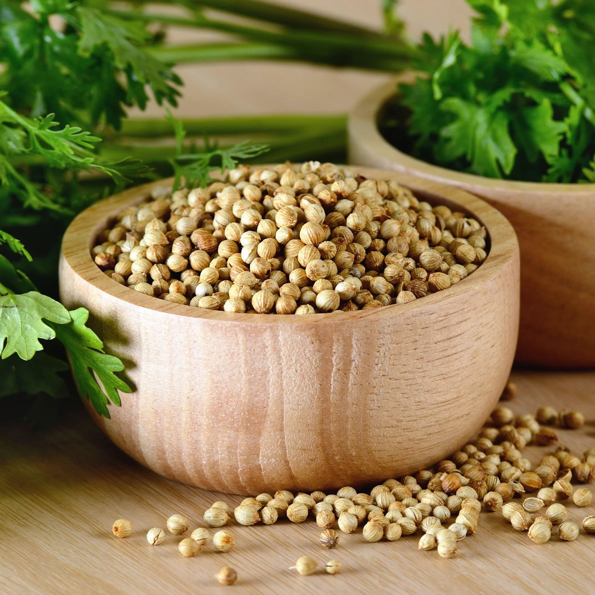 Alpi Nature Coriandolo Semi Interi BIO 1kg, Semi di Coriandolo bio per Cucina e Mix di Spezie