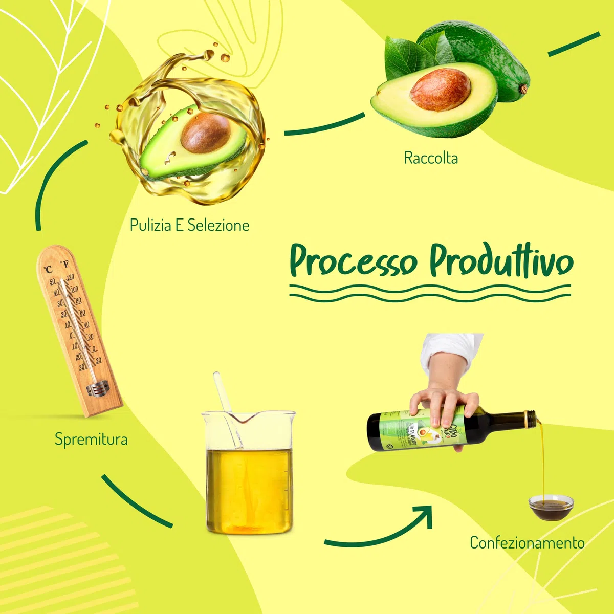 Olio di Avocado Alimentare e Biologico - 500ml. Olio Avocado Bio Spremuto a Freddo Puro al 100% e non Raffinato. Ideale per Cucinare Condire e Marinare. Avocado Oil.